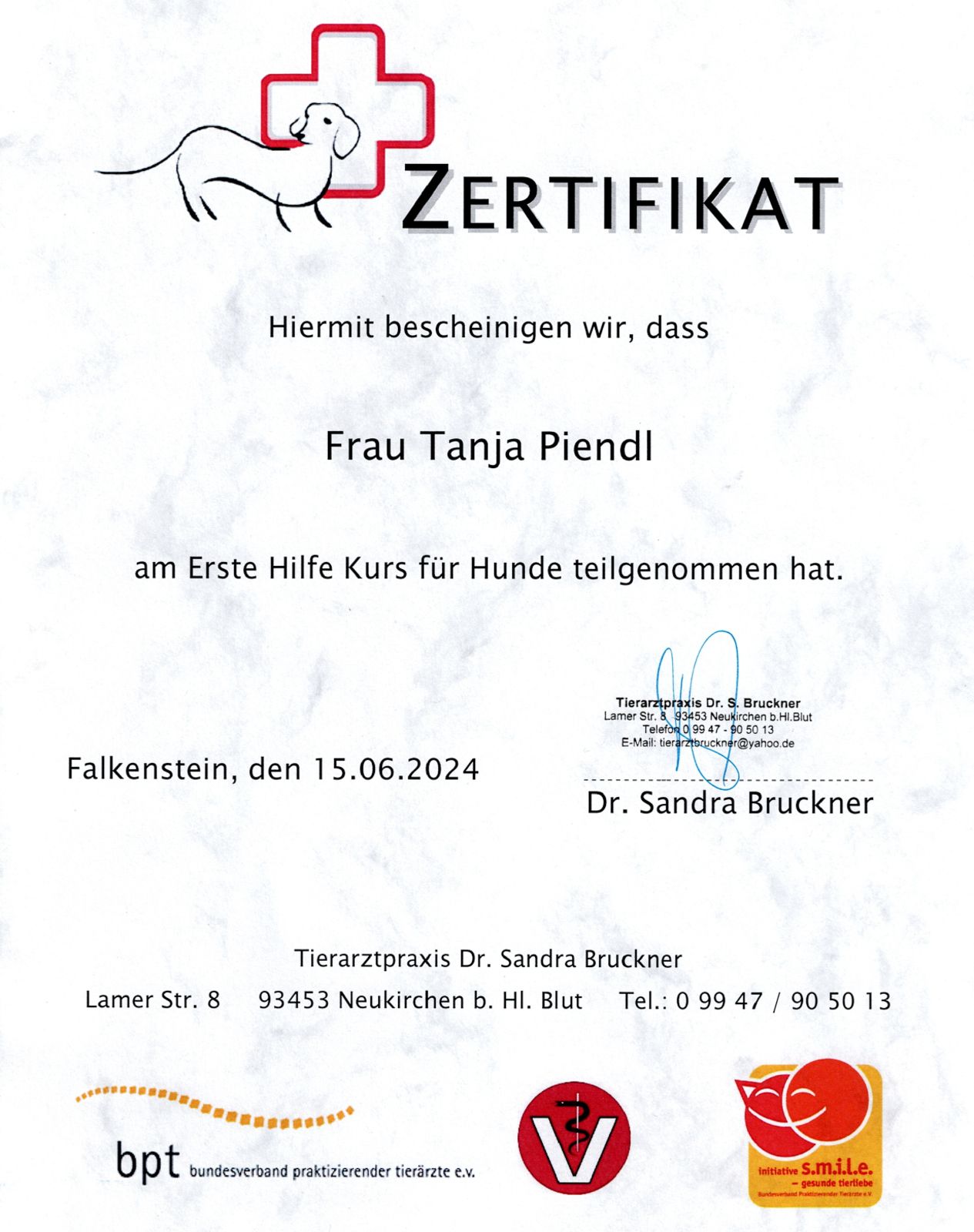 Zertifikat Erste-Hilfe-Kurs für Hunde